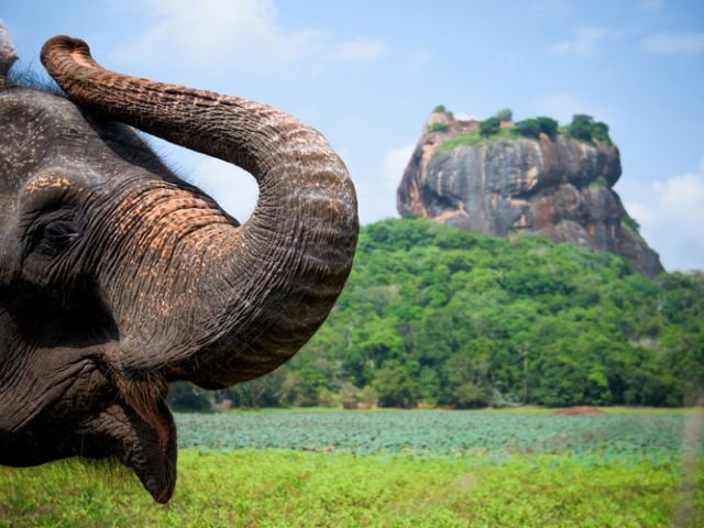 Elegant Sri Lanka Turu Türk Hava Yolları İle 6 Gece (Ekstra Turlar Dahil) (CMB-CMB)