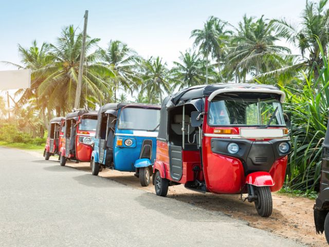 Elegant Sri Lanka Turu Türk Hava Yolları İle 6 Gece (Ekstra Turlar Dahil) (CMB-CMB)