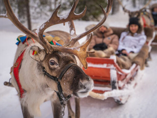 Comfort Lapland Turu Türk Hava Yolları İle 3 Gece (Tüm Turlar Dahil) (RVN-RVN)