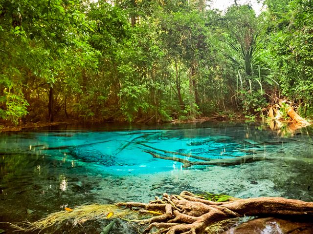 Elegant Phuket Turu Türk Hava Yolları İle 5 Gece (Ekstra Turlar Dahil) (HKT - HKT)
