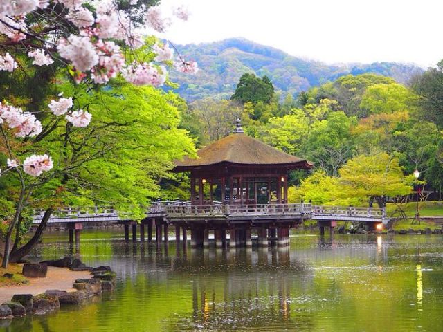 Kurban Bayramı Özel Elegant Japonya & Güney Kore Turu Emirates Hava Yolları İle 9 Gece (Ekstra Turlar Dahil) (ICN-NRT)