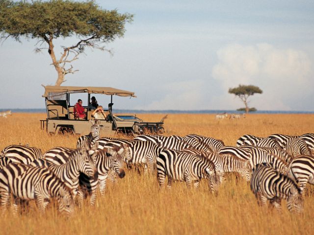 Elegant Kenya Büyük Göç Turu Türk Hava Yolları İle 6 Gece (Ekstra Turlar Dahil) (NBO-NBO)