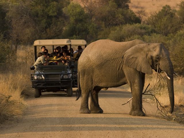 Vizesiz Flex Güney Afrika & Safari Turu Türk Hava Yolları İle 5 Gece (CPT - JNB) (2027)