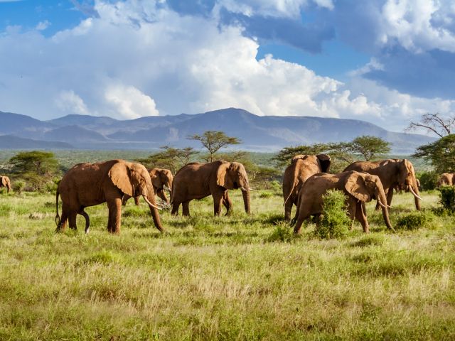 Vizesiz Flex Güney Afrika & Safari Turu Türk Hava Yolları İle 5 Gece (CPT - JNB)