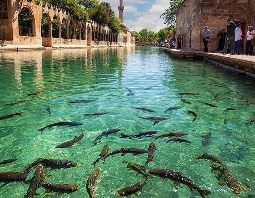 Kurban Bayramı Özel İkonik Otobüslü Gap Turu 4 Gece Konaklamalı (İstanbul ve Ankara Çıkışlı)