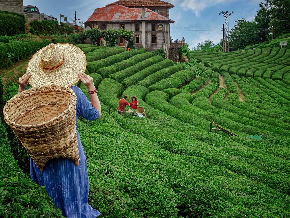 Kurban Bayramı Özel İkonik Uçaklı Karadeniz Yaylalar ve Batum Turu 3 Gece Konaklamalı (İstanbul Çıkışlı)