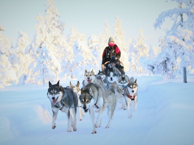 Comfort Lapland Turu Türk Hava Yolları İle 3 Gece (Tüm Turlar Dahil) (RVN-RVN)
